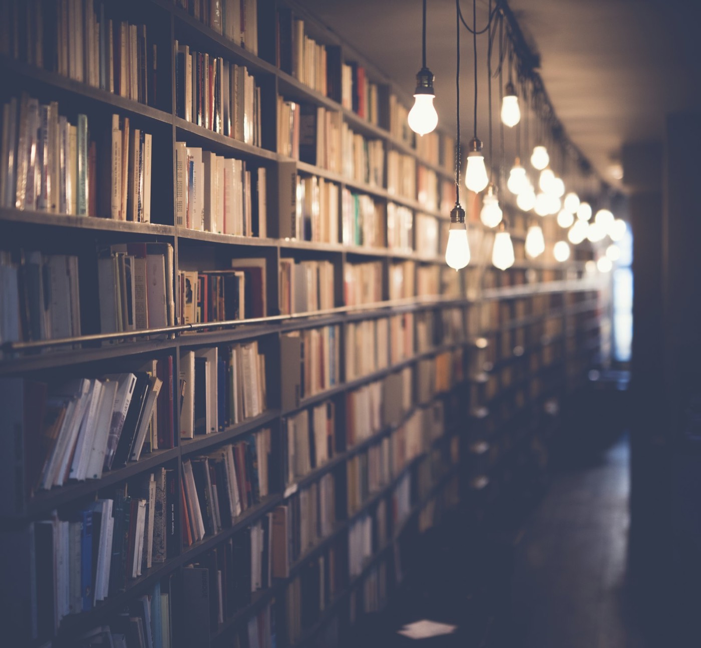 Library shelves lit by warm hanging bulbs.